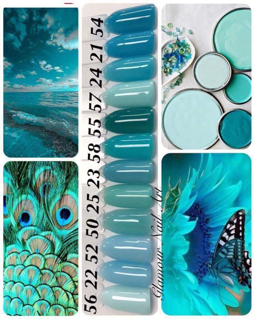 Collection Bleu turquoise