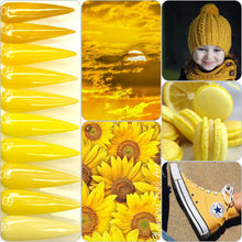 Collection Sunflower