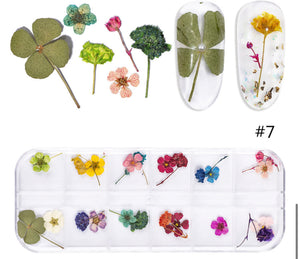 Kit de fleur seché 7