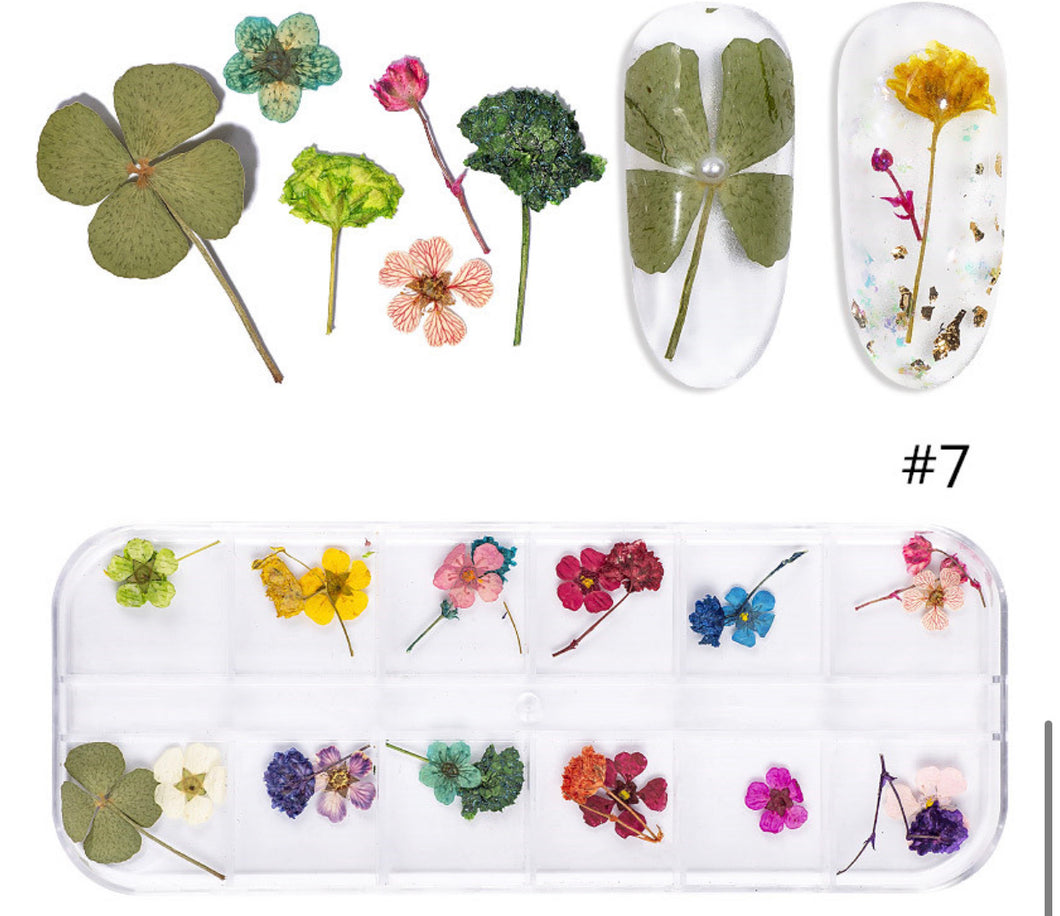 Kit de fleur seché 7