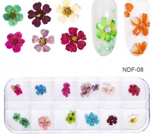 Kit de fleur seché 18