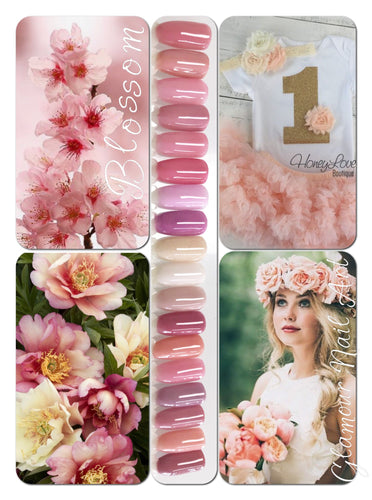 Collection Blossom