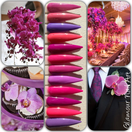 Collection Orchidée
