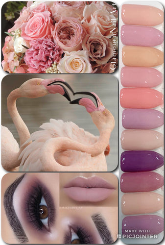 Collection Blossom 02